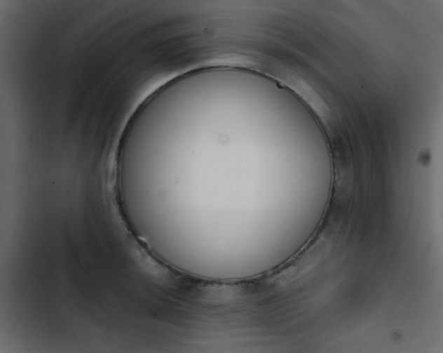 X0000103931044200809261659