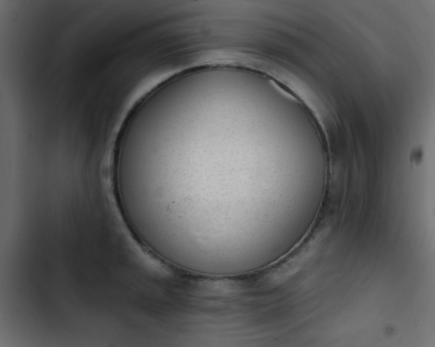 X0000103931045200809261659