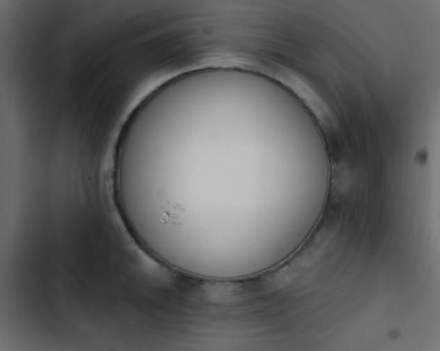 X0000103931046200809261659