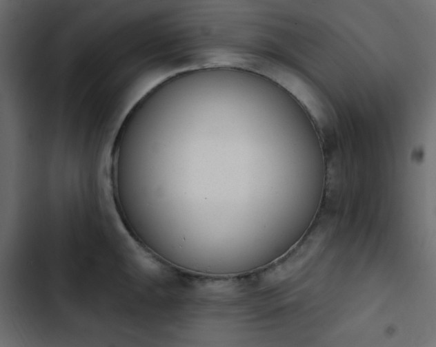 X0000103931047200809261659