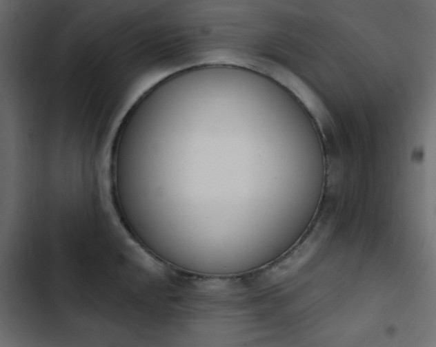 X0000103931048200809261659