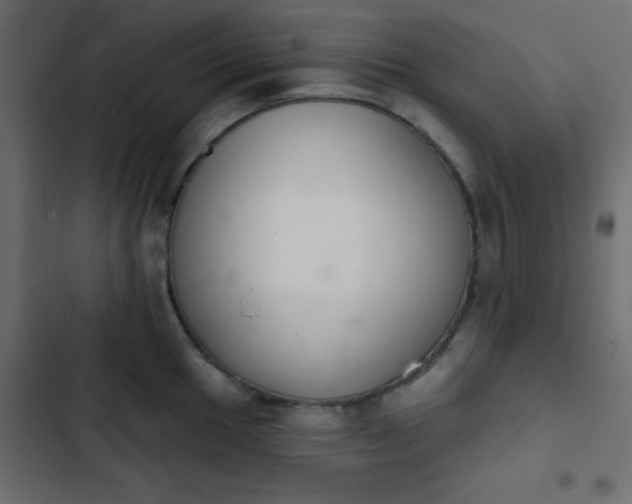 X0000103931049200809261659