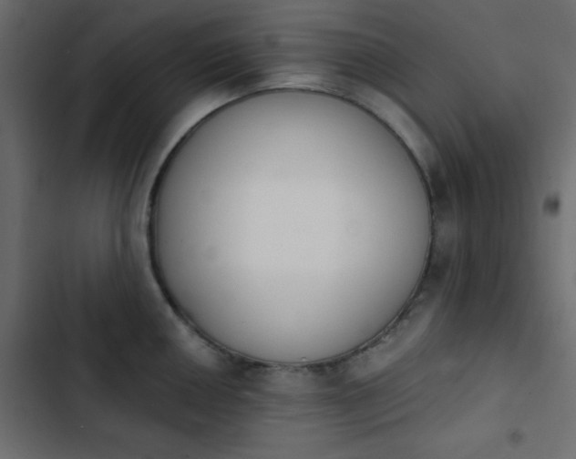 X0000103931050200809261659