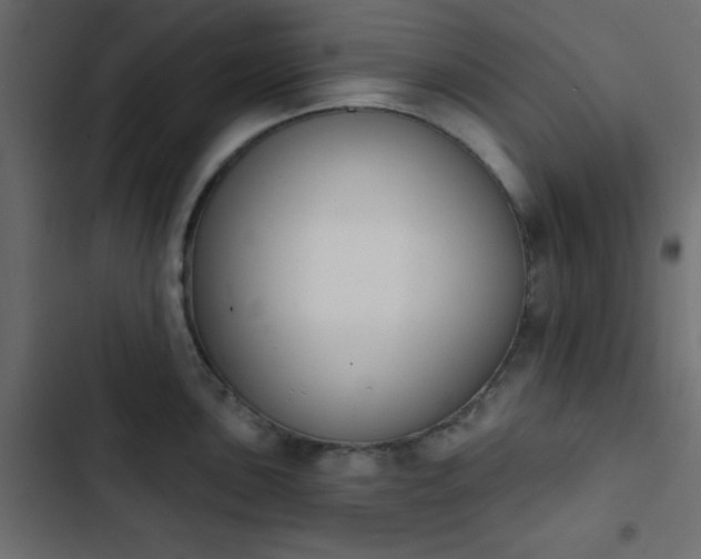 X0000103931051200809261659
