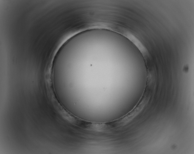 X0000103931052200809261659