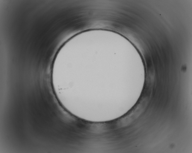 X0000103931053200809261659