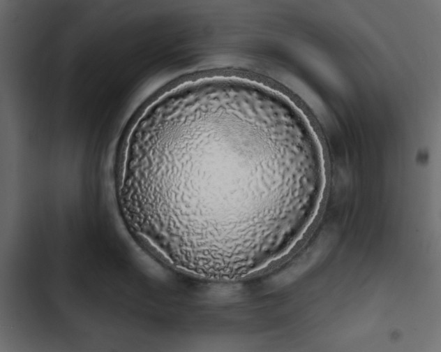 X0000103931055200809261659