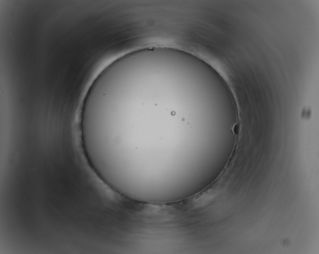 X0000103931056200809261659