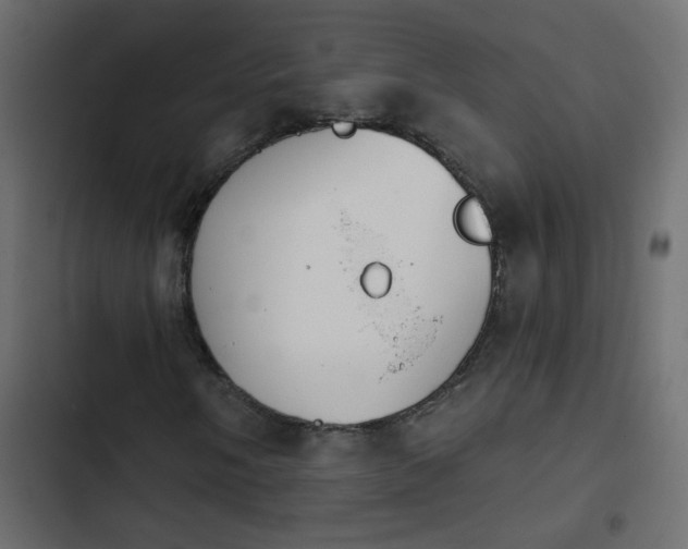 X0000103931058200809261659
