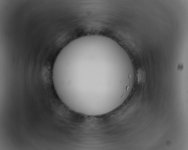 X0000103931059200809261659