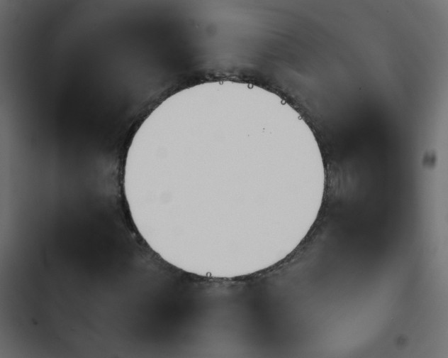 X0000103931060200809261659
