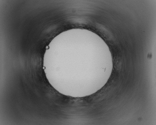 X0000103931061200809261659