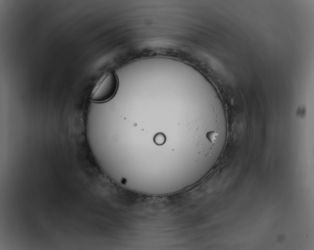 X0000103931062200809261659