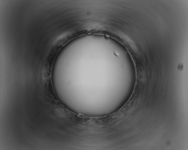 X0000103931063200809261659