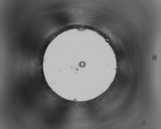 X0000103931064200809261659