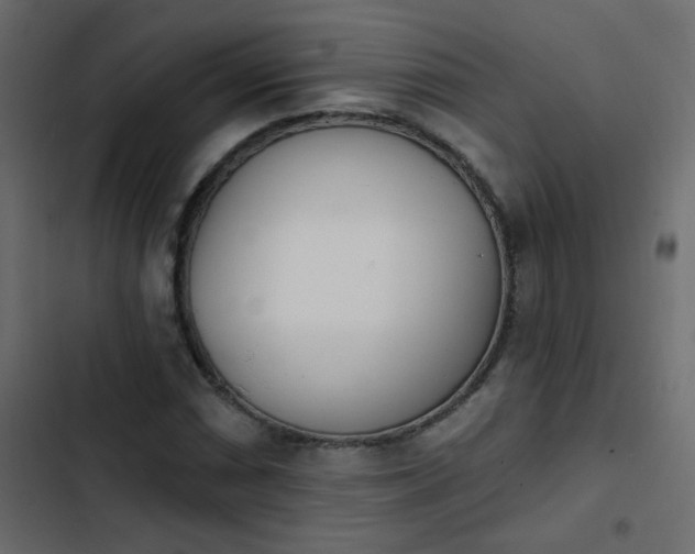 X0000103931066200809261658