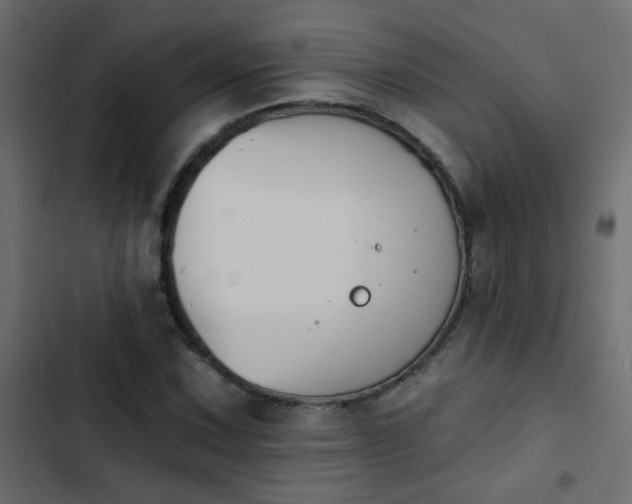 X0000103931067200809261658