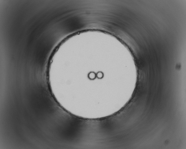 X0000103931068200809261658