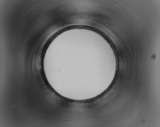 X0000103931069200809261658