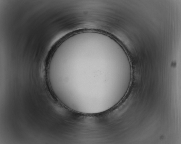 X0000103931070200809261658