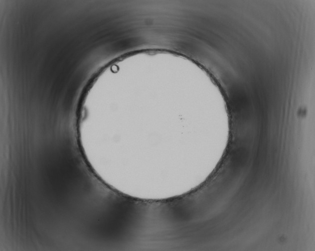 X0000103931072200809261658