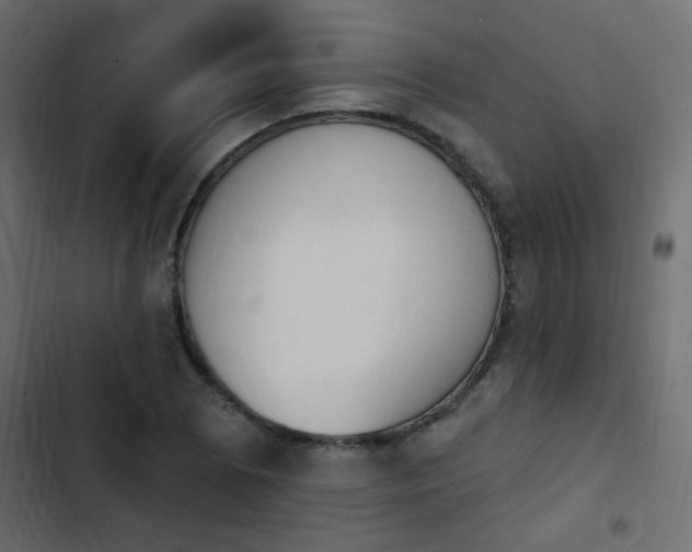 X0000103931073200809261658