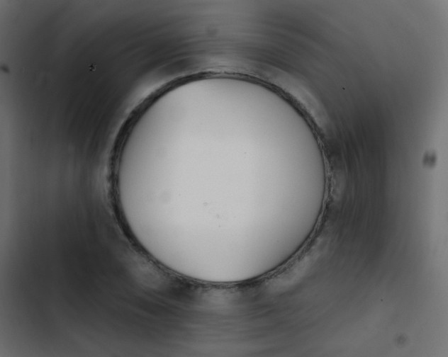 X0000103931074200809261658