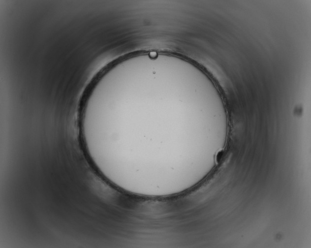 X0000103931075200809261658