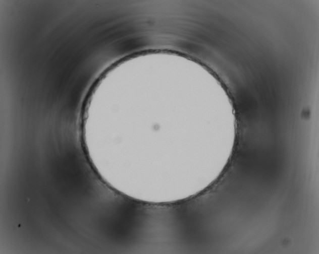 X0000103931076200809261658