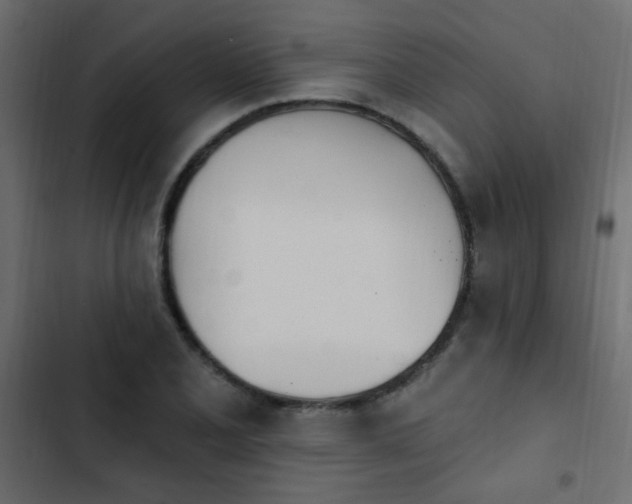 X0000103931077200809261658