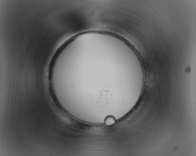 X0000103931078200809261658