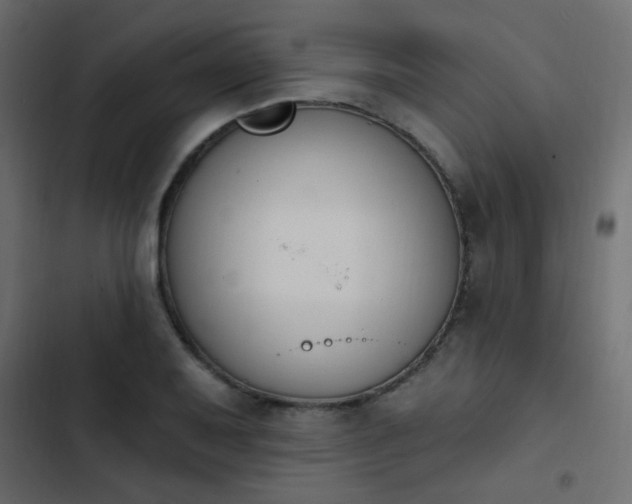 X0000103931079200809261658