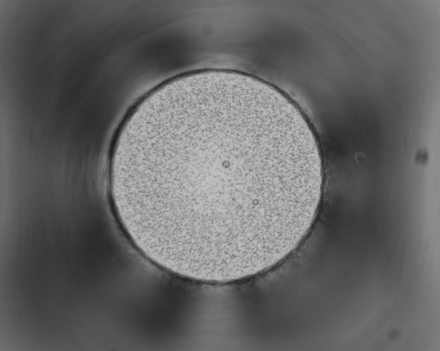 X0000103931080200809261658