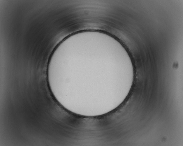 X0000103931081200809261658