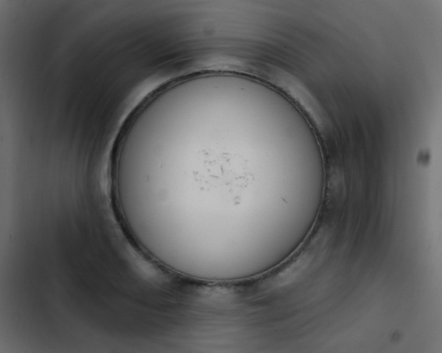 X0000103931082200809261658