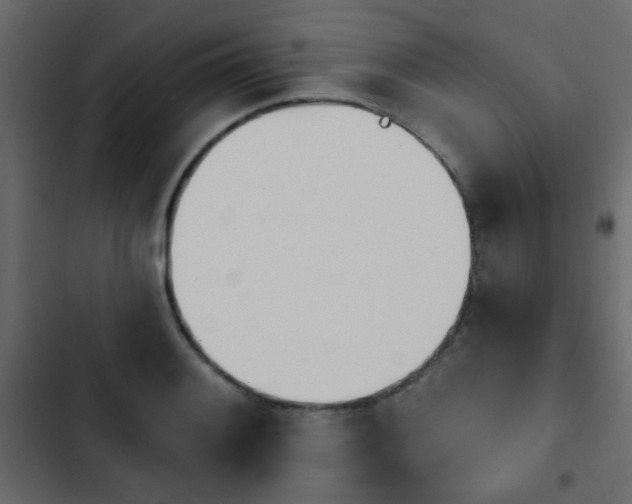 X0000103931084200809261658