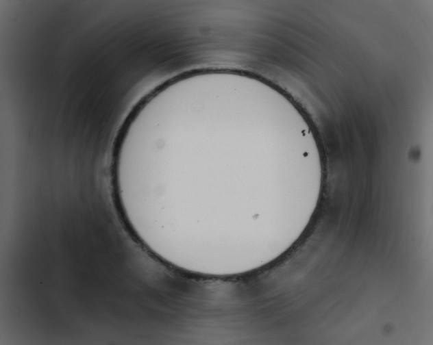 X0000103931085200809261658