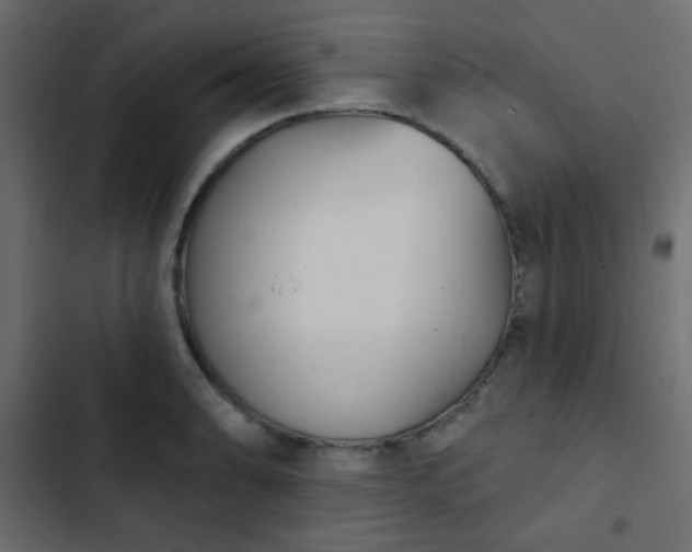 X0000103931086200809261658