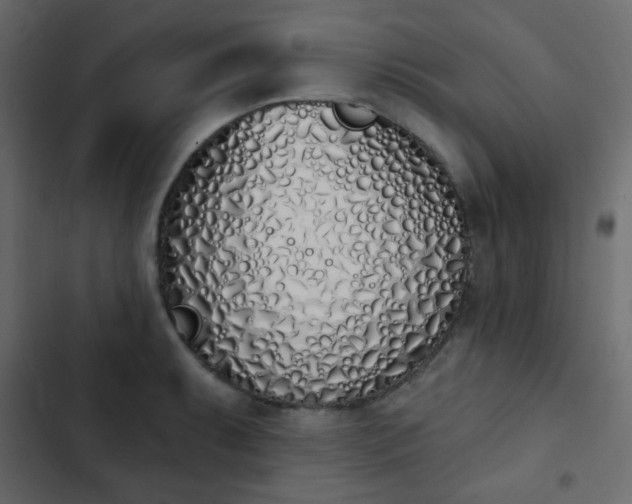 X0000103931087200809261658