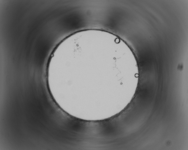 X0000103931088200809261658