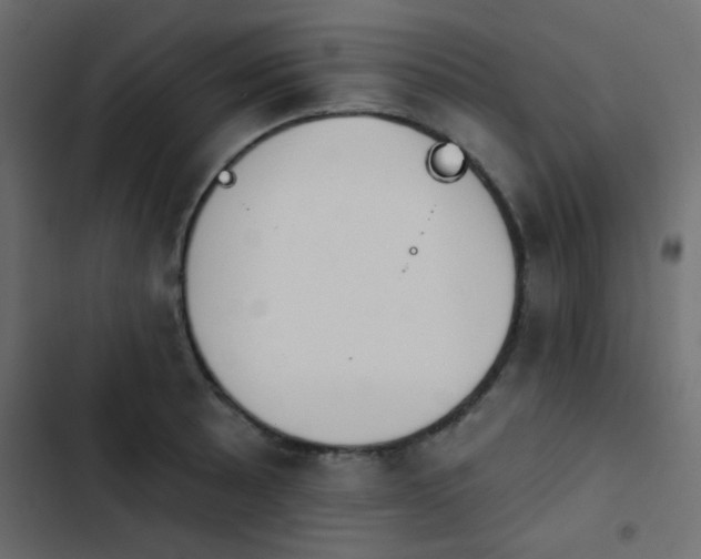 X0000103931089200809261658