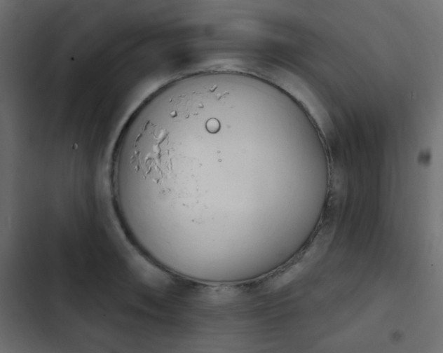 X0000103931090200809261658