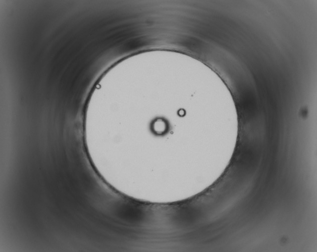 X0000103931092200809261658