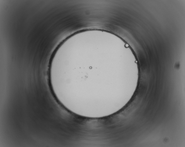 X0000103931093200809261658