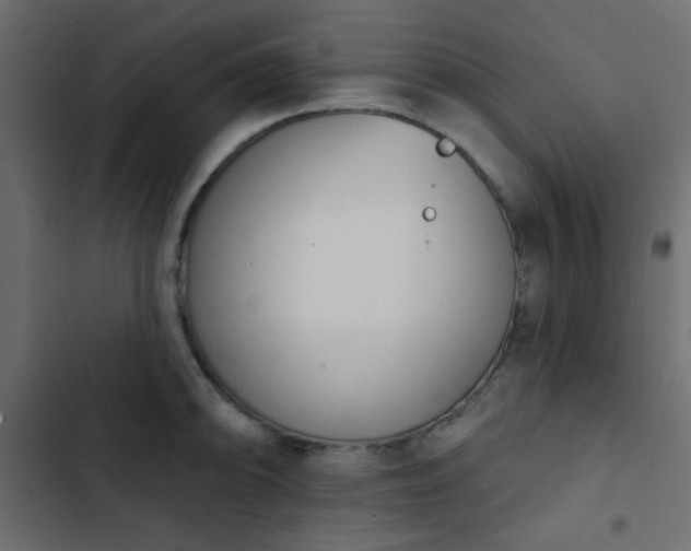 X0000103931094200809261658