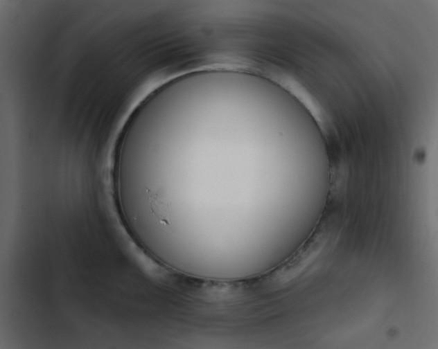 X0000103931099200809261658