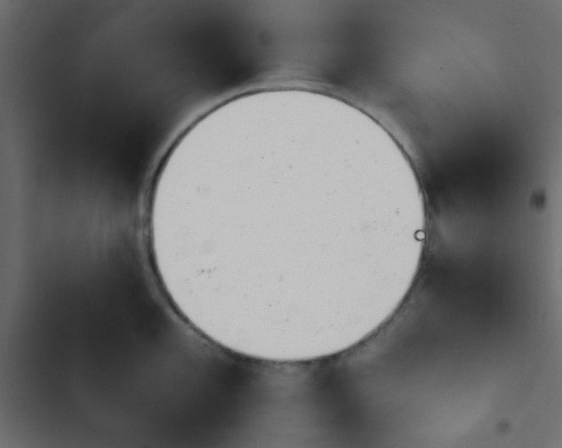 X0000103931101200809261658