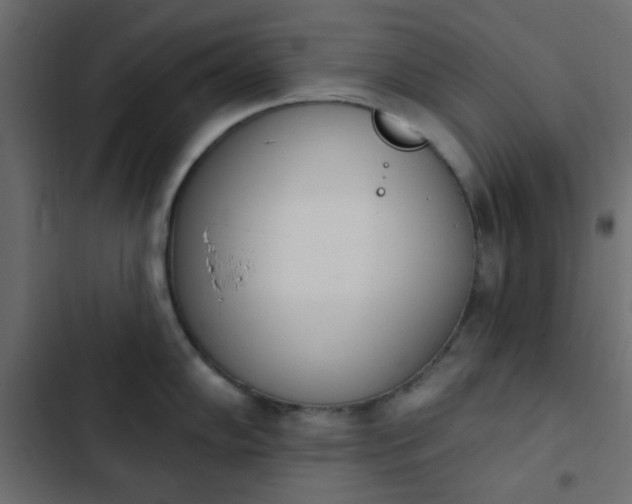 X0000103931102200809261658