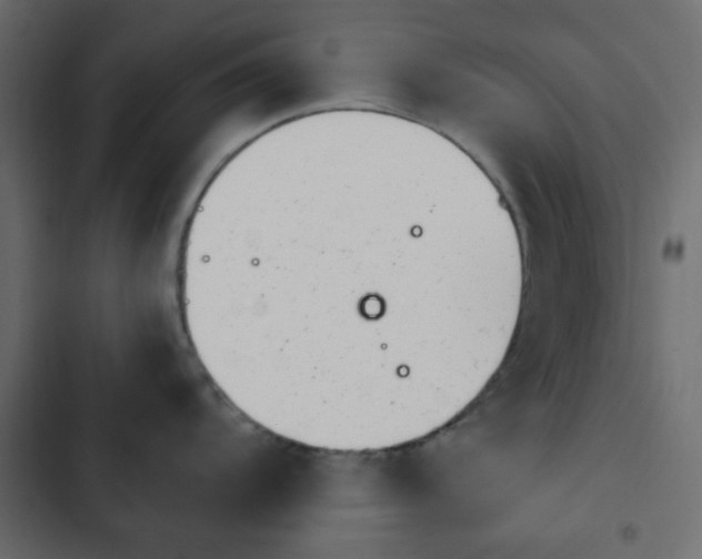 X0000103931104200809261658