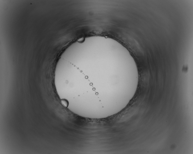 X0000103931105200809261657